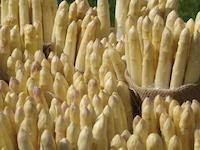 Frischer Spargel
